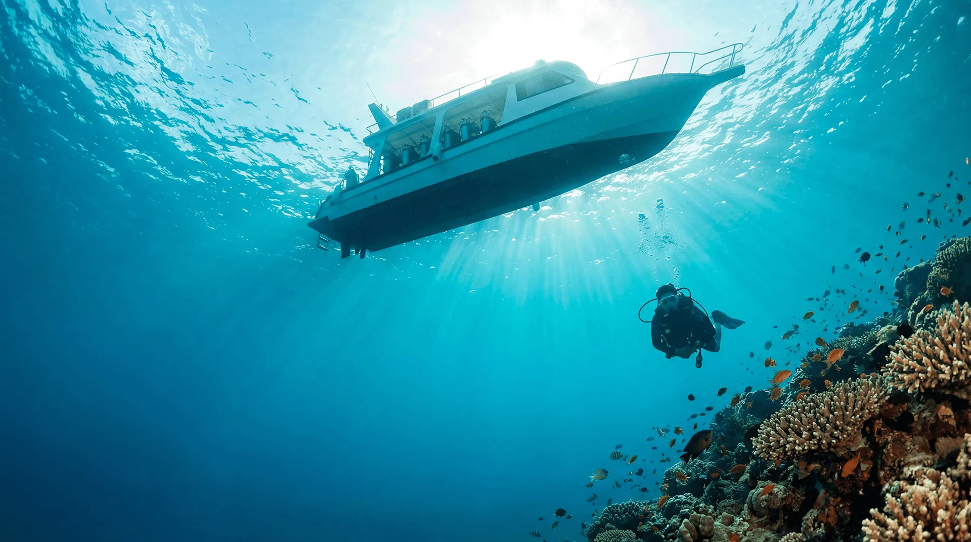 Private Scuba Diving Gili Trawangan